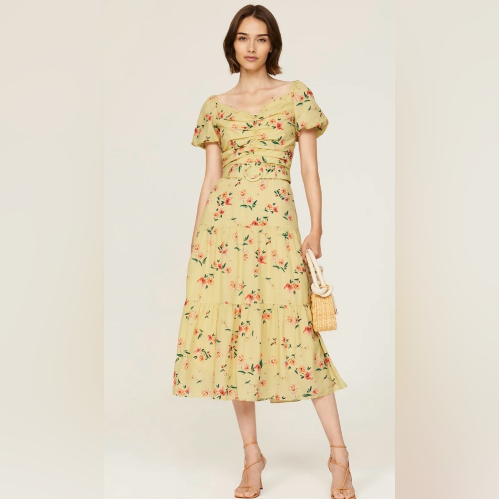 Euc Rtr Paloma Blue Evie Floral Dress